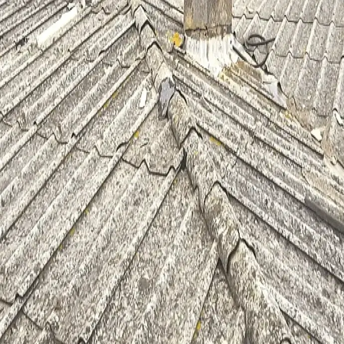 Asbestos sheet roofing on a commercial premesis