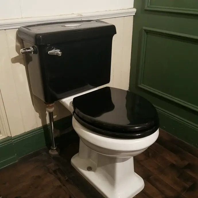 A toilet Seat and cistern made of asbestos-containing materials, highlighting the need  asbestos awarenes.s
