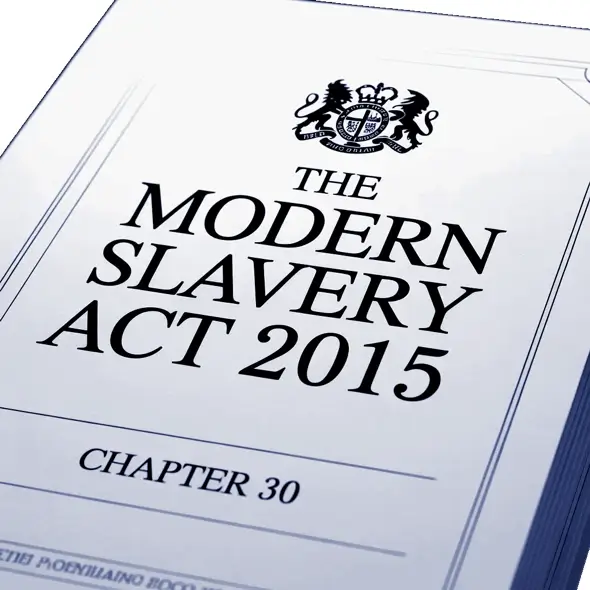 The Modern Slavery Act 2015