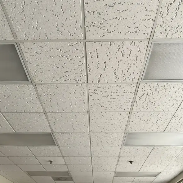 office ceiling made of asbestos containing ceiling tiles
